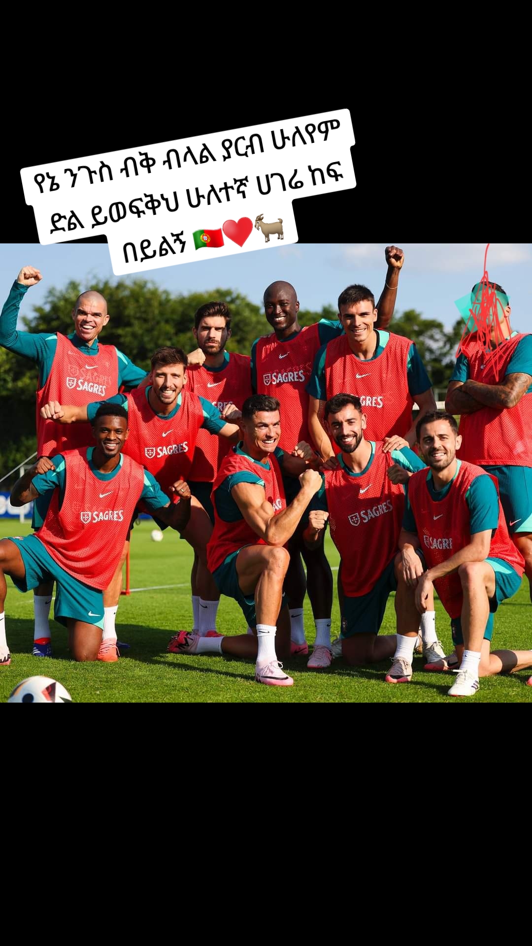 @Ronaldo CR7 king๐ต๐ธ๐ต๐น๐๐๐ช