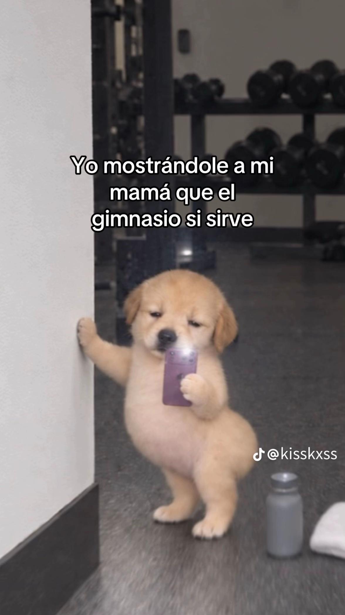 @__.guaada_