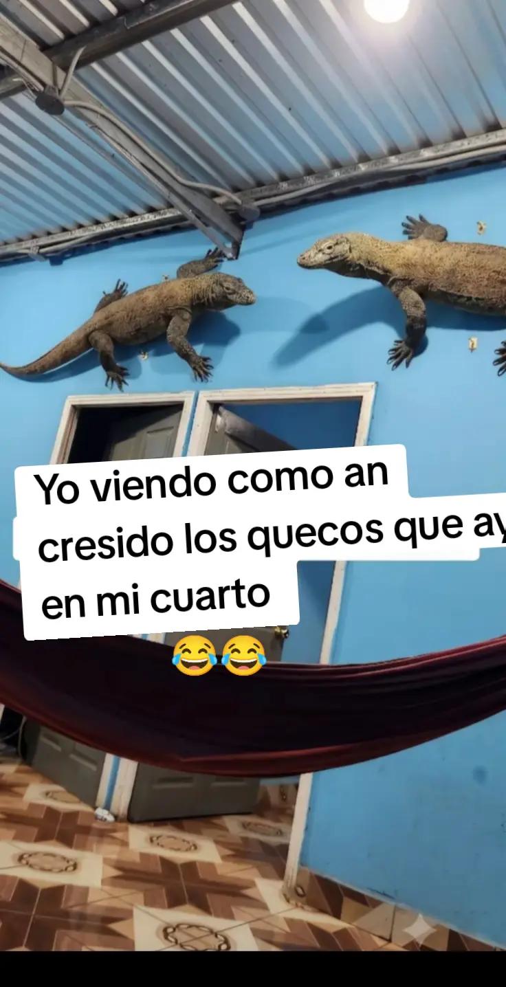 @🐥 Juan🐣