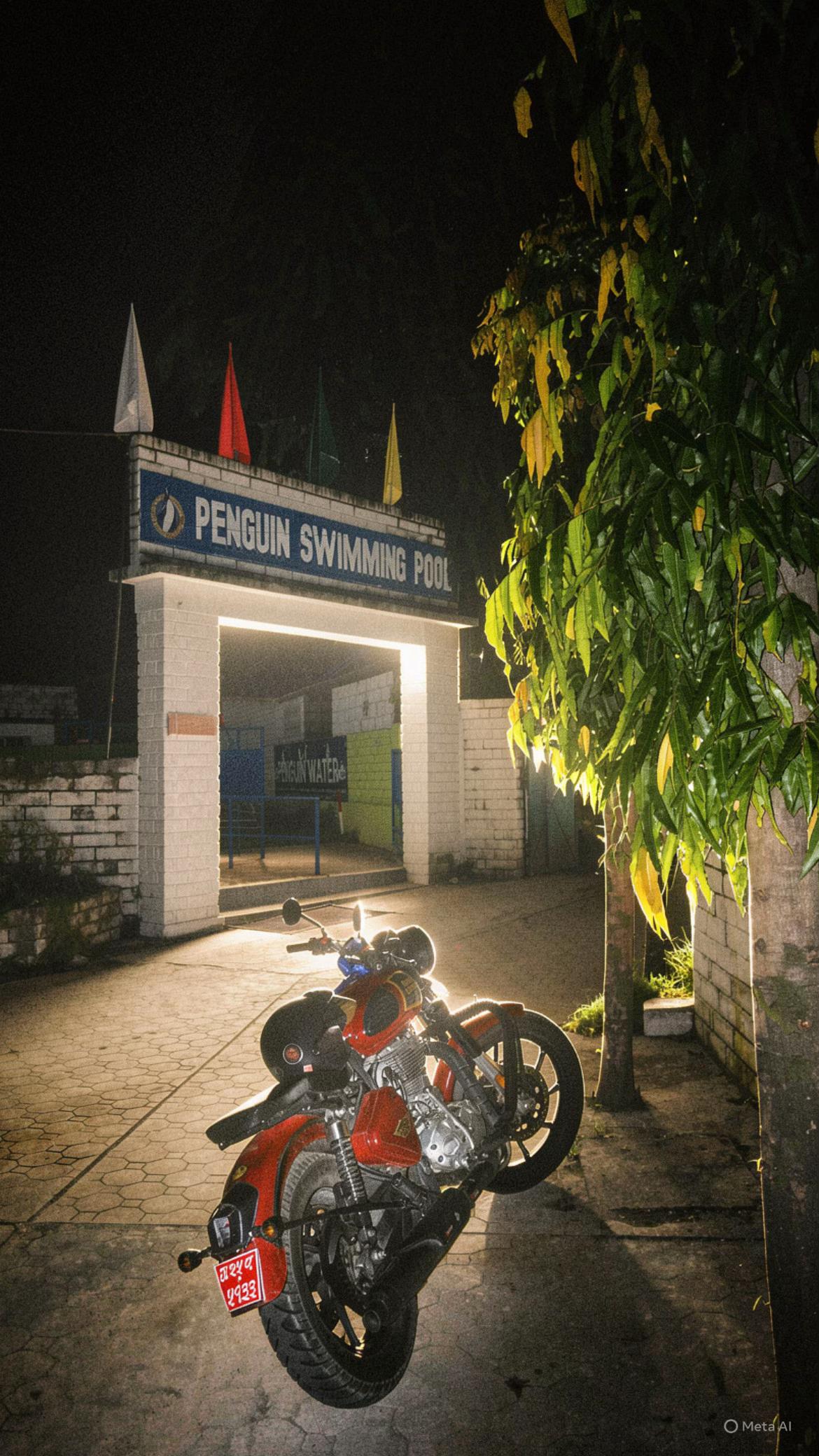 @FLEXUN🇳🇵