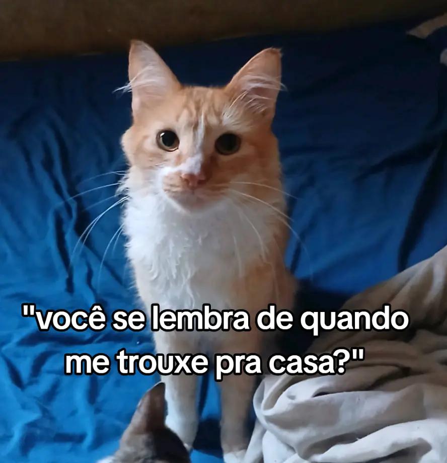 @Maria Eduarda mãe aos 13 anos