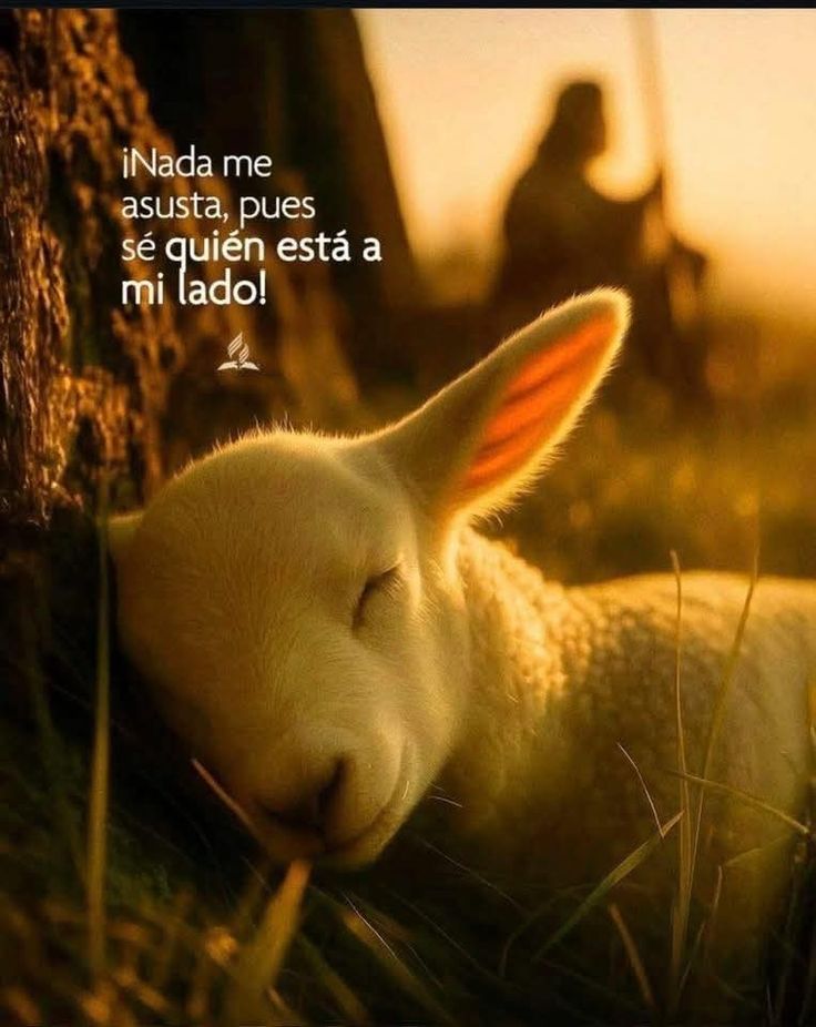 @Ingrid Moreno