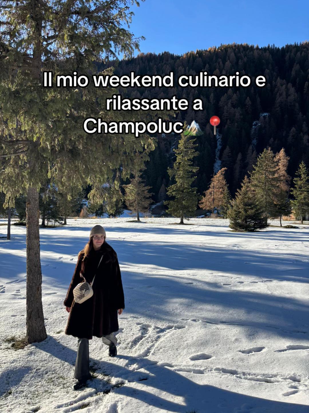 @silviaticonsiglia_