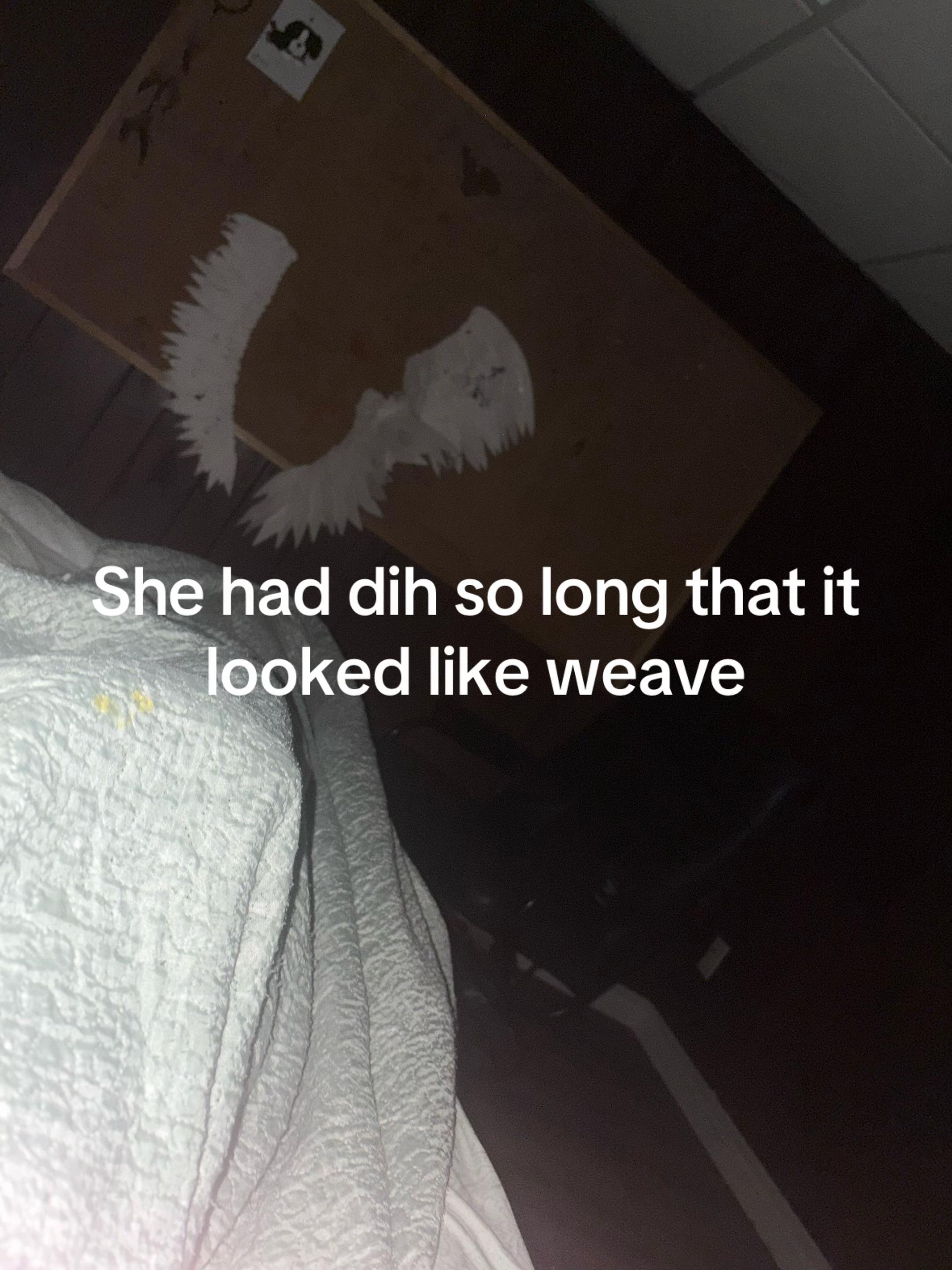 @⛧ ⫘⫘⫘𝖇𝖑𝖔𝖔𝖉𝖑𝖚𝖘𝖙⫘⫘⫘ ⛧
