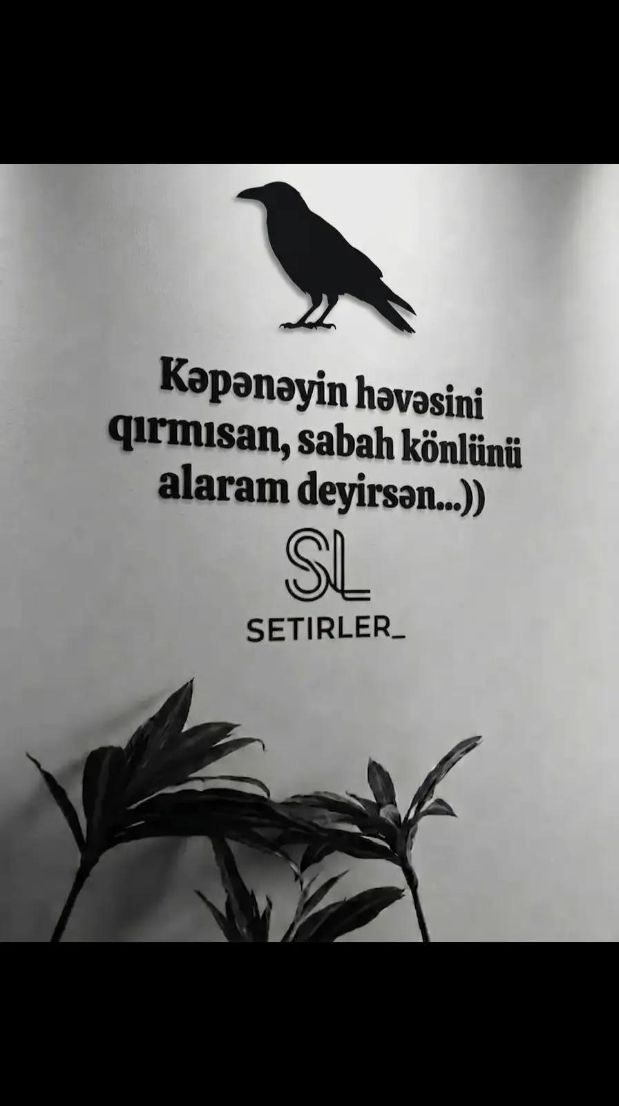 @𓄂𝐒 𝐀 𝐁 𝐑 صبر