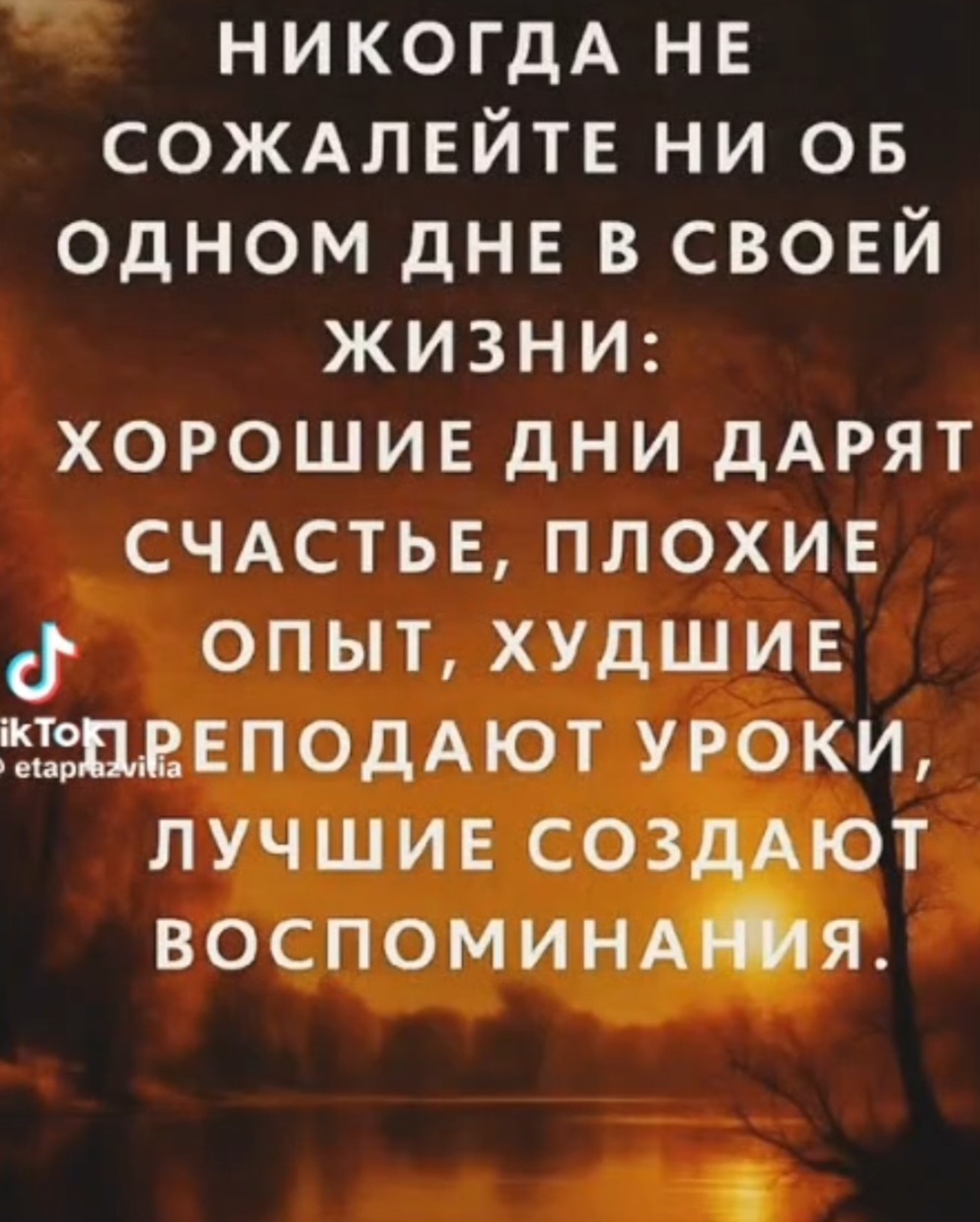 @❤️❤️ЛюбовьМорковь❤️❤️