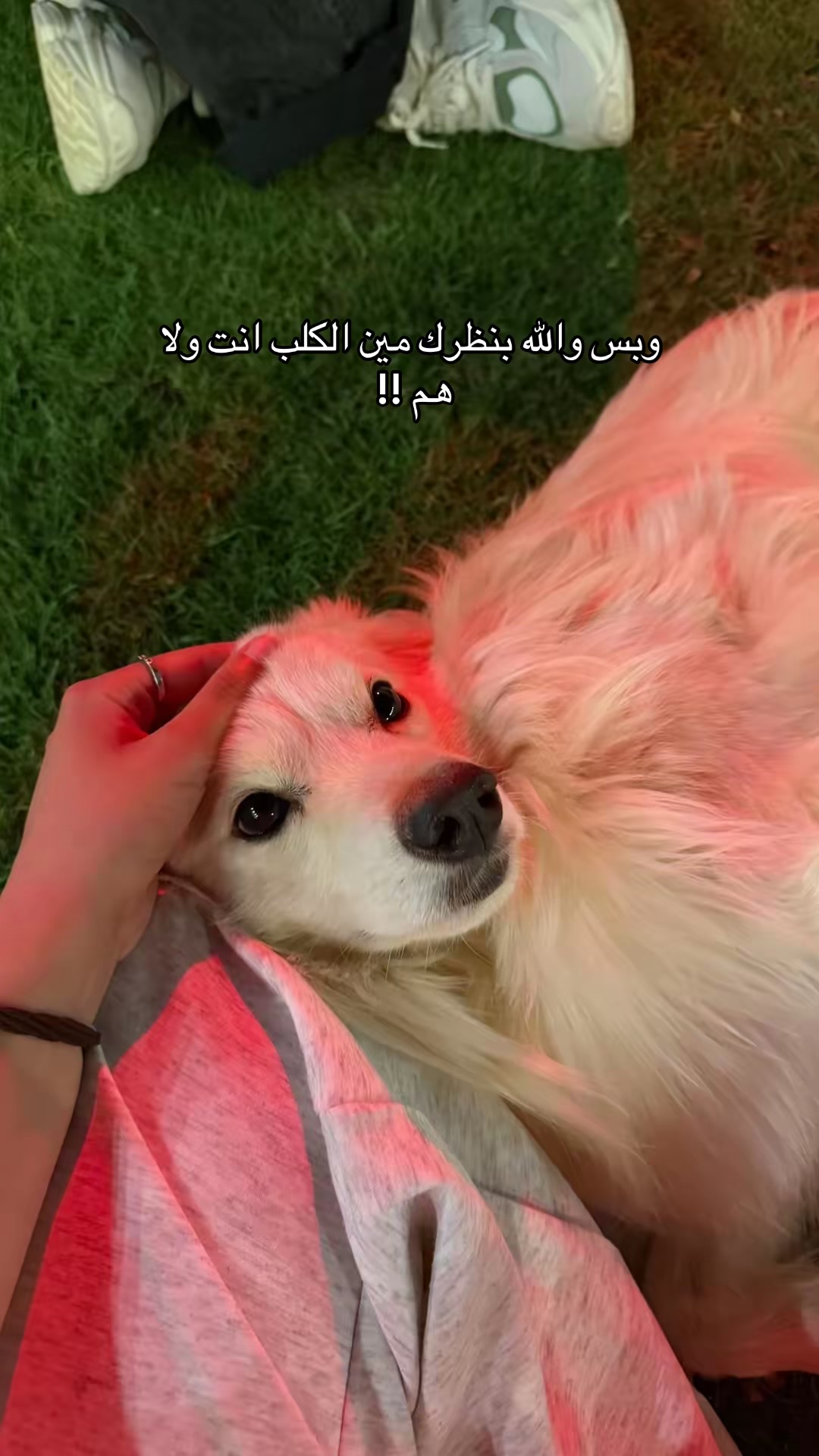 @By Heba🪄