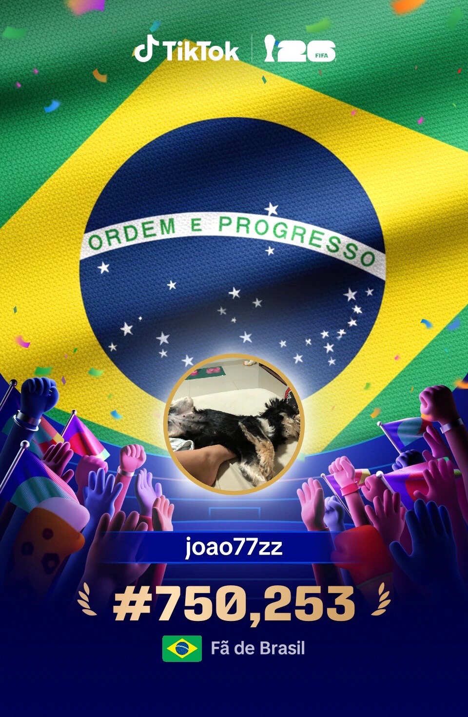@joao77zz