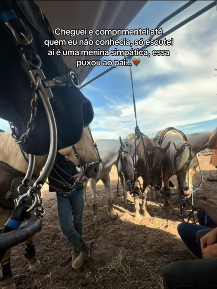 @Sofia Souza