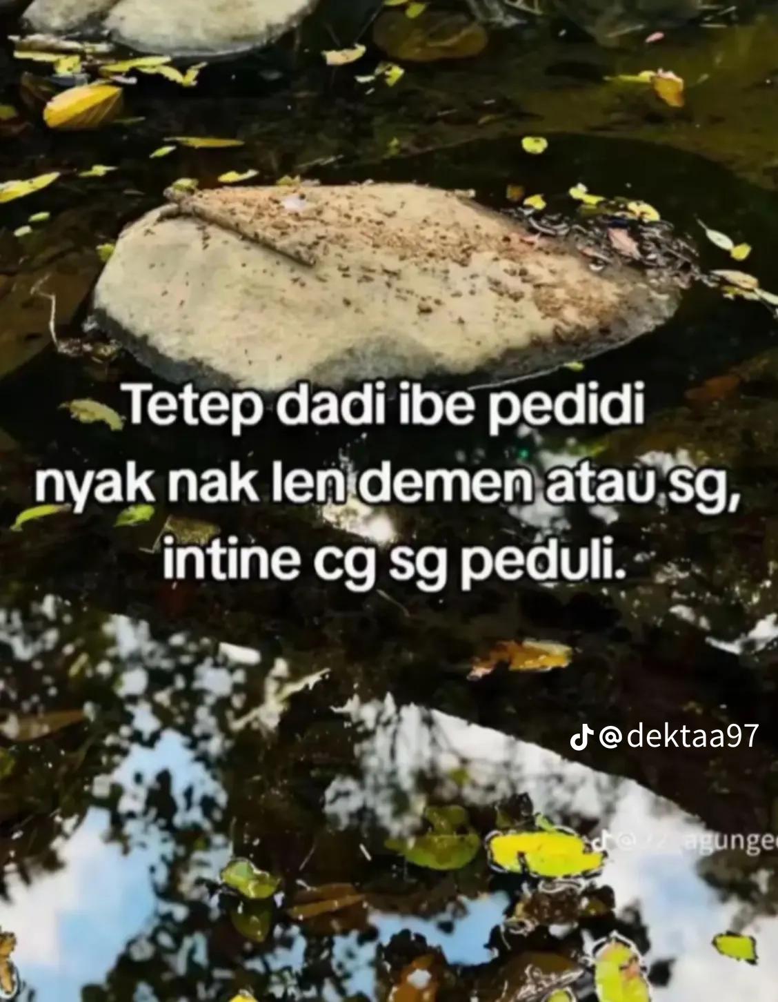 @pebriani