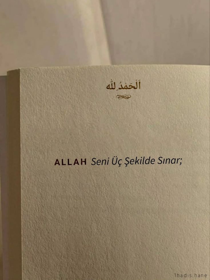 @موحيدة🥰