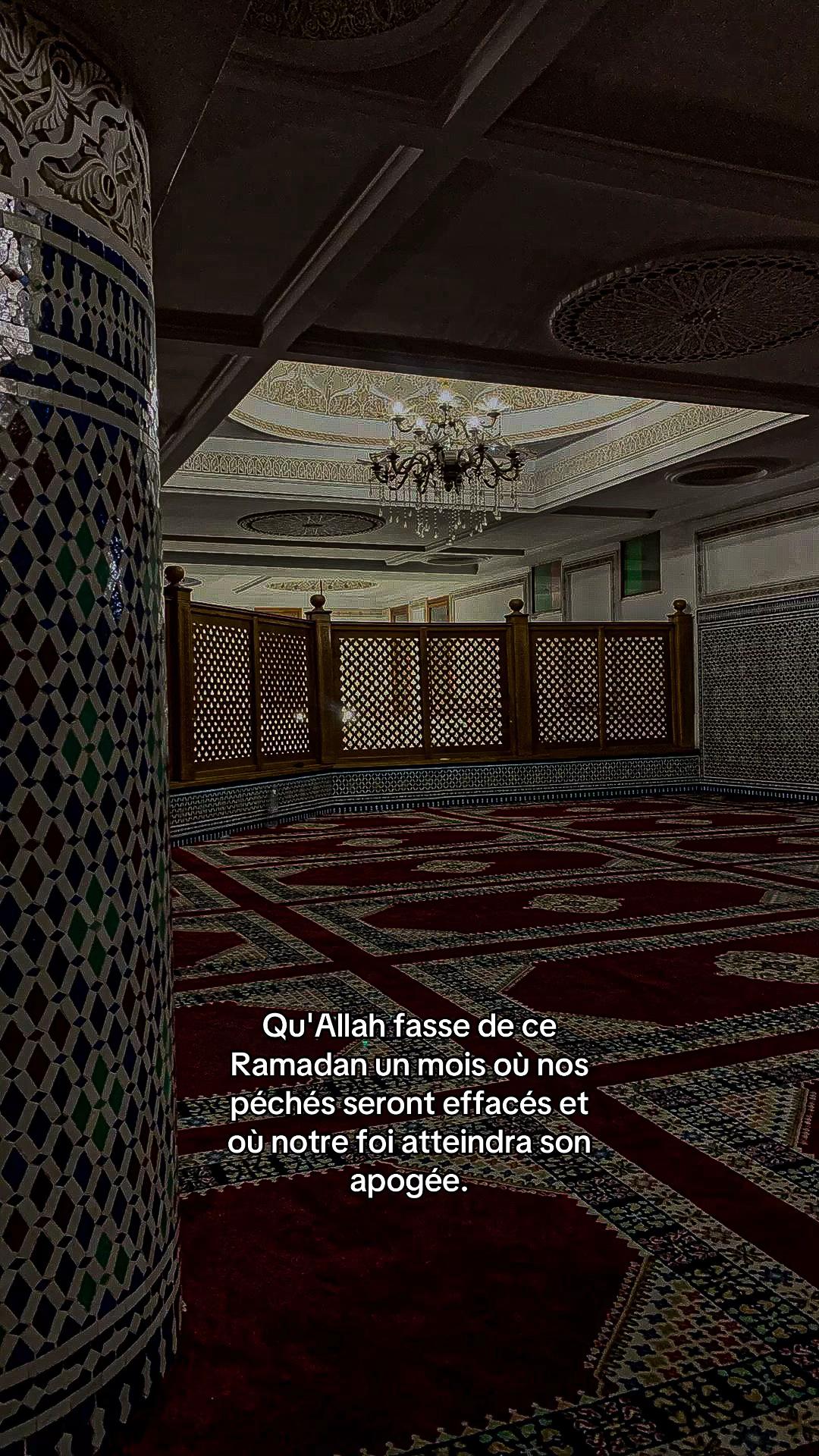 @rappel.islam