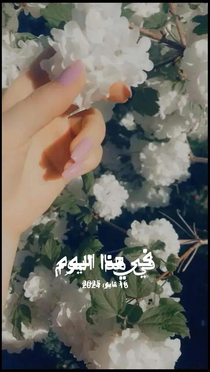 @رهام 👑🇯🇴🇯🇴🌹🦋