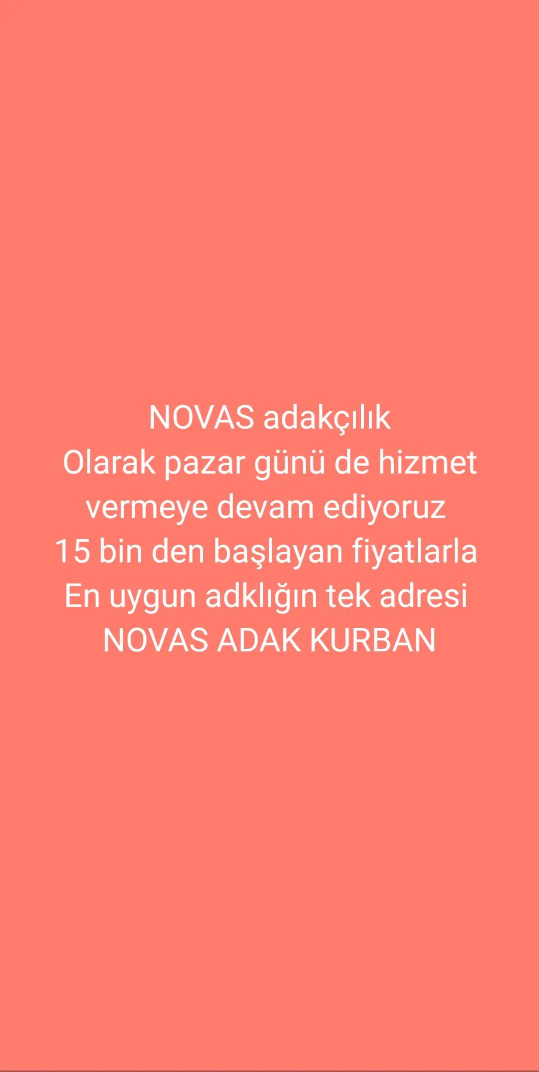 @Alp 🇹🇷🤘🐺27