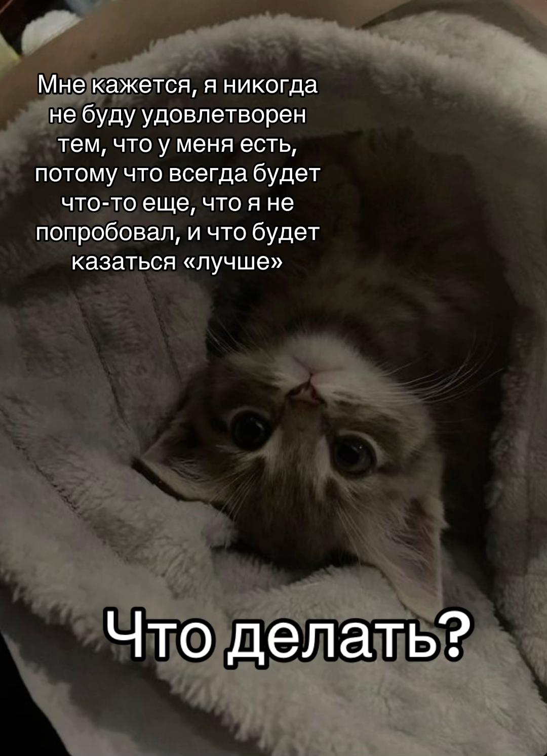 @тгк: психология с марго