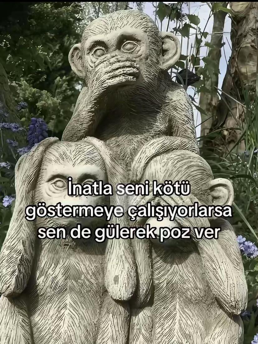 @Tost&ccedil;u Sezer