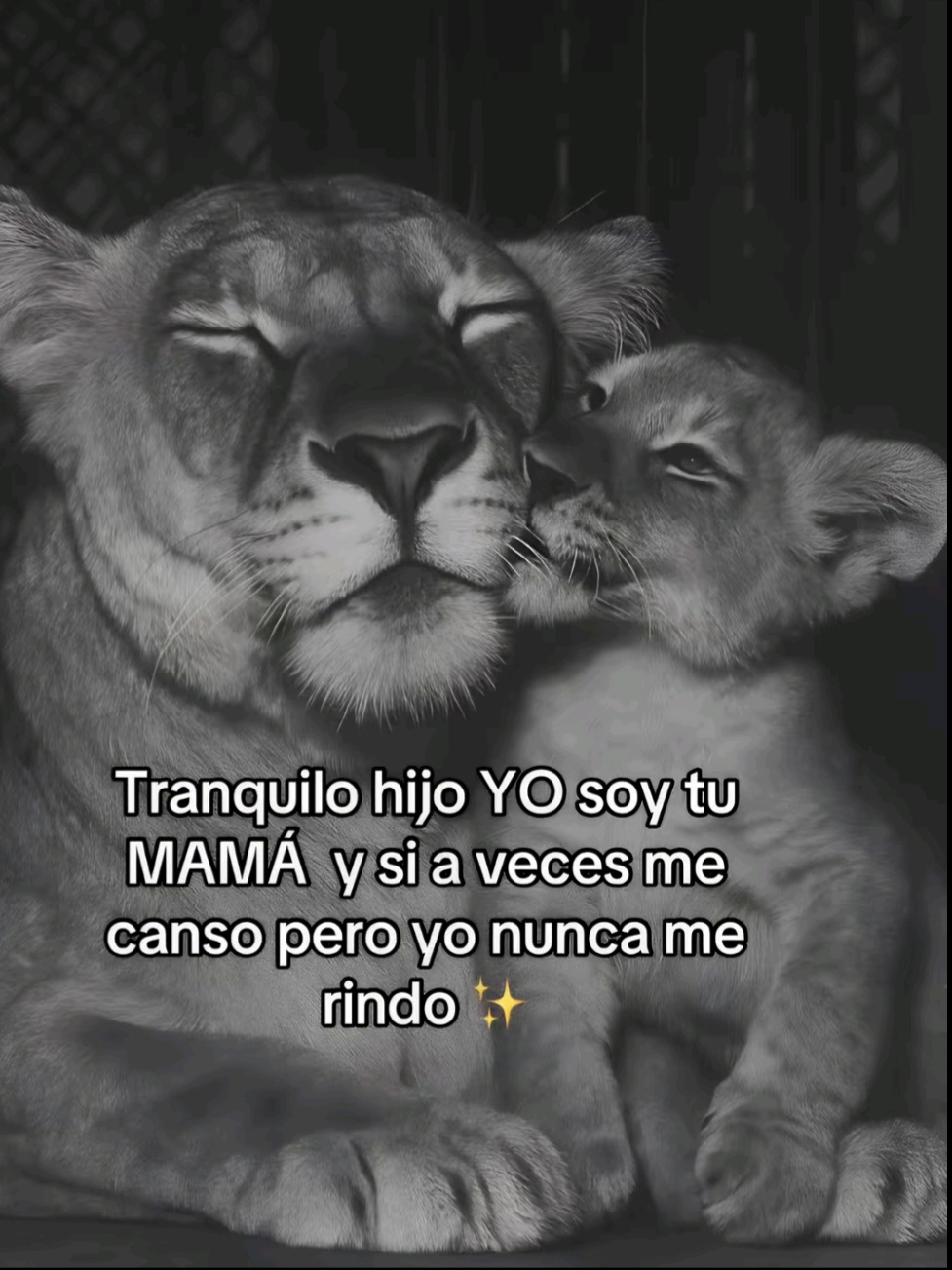 @✨Mariiluz&Jonathan✨