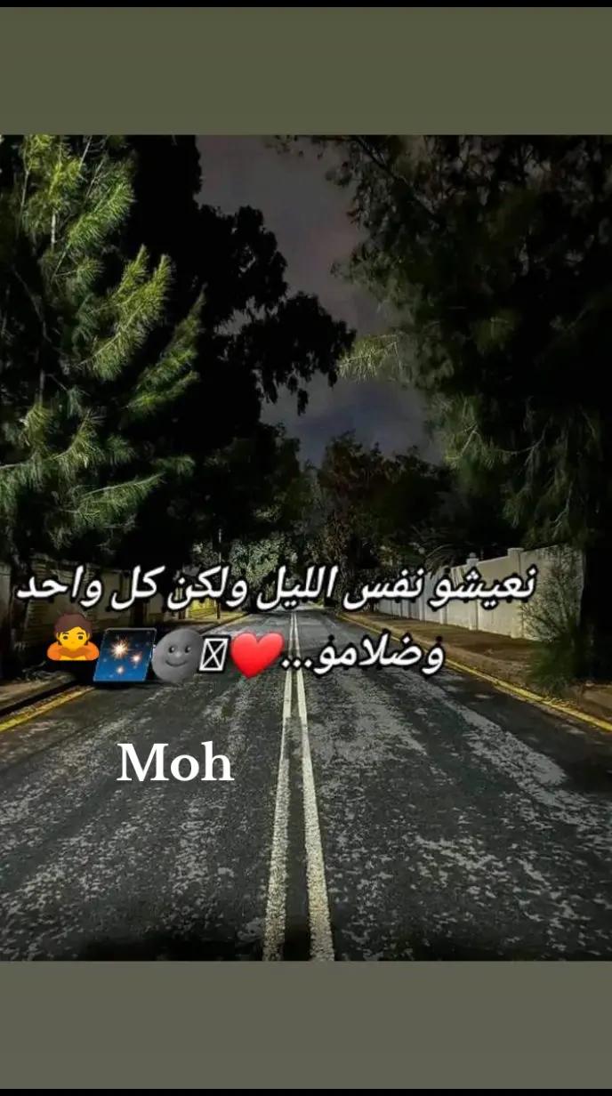 @Moh Mohamed753