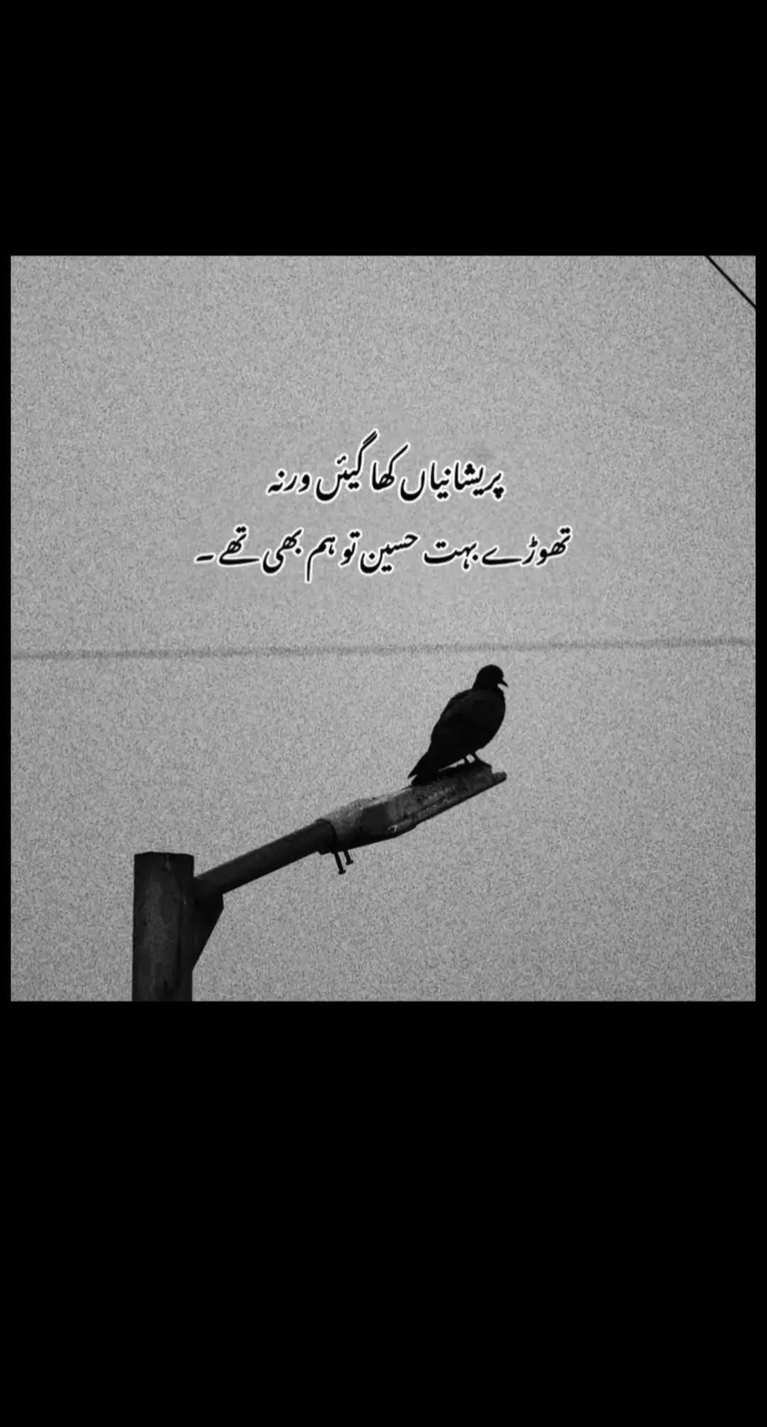 @🚩hamza512🚩