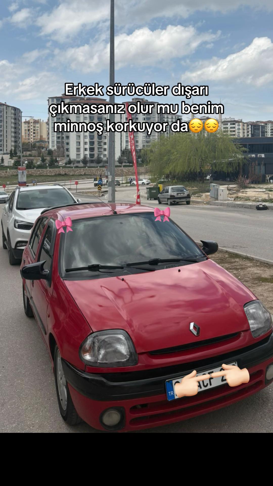 @&Ouml;yk&uuml;🦩