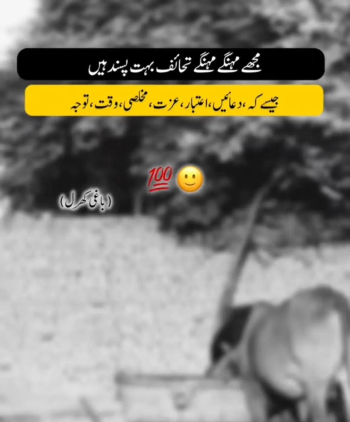 @AYEشha❤️🩹🙃••