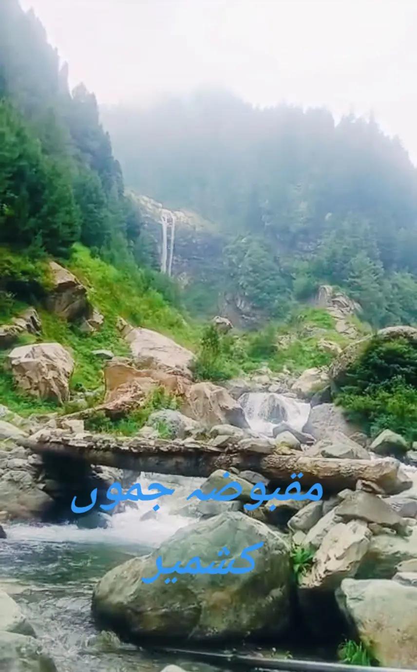 @فیڈ مارشل 804🔥