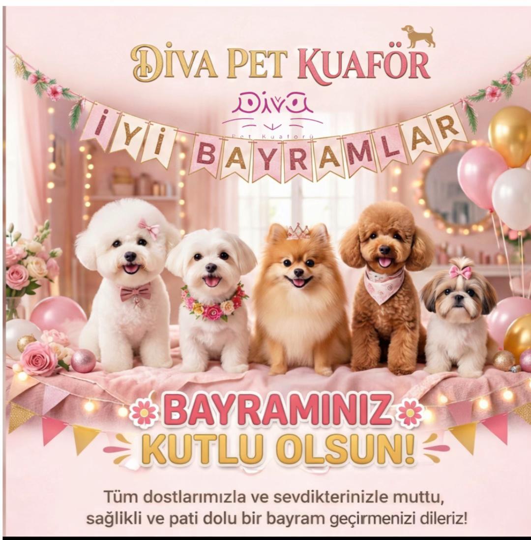 @Diva Pet Kuaf&ouml;r Ankara