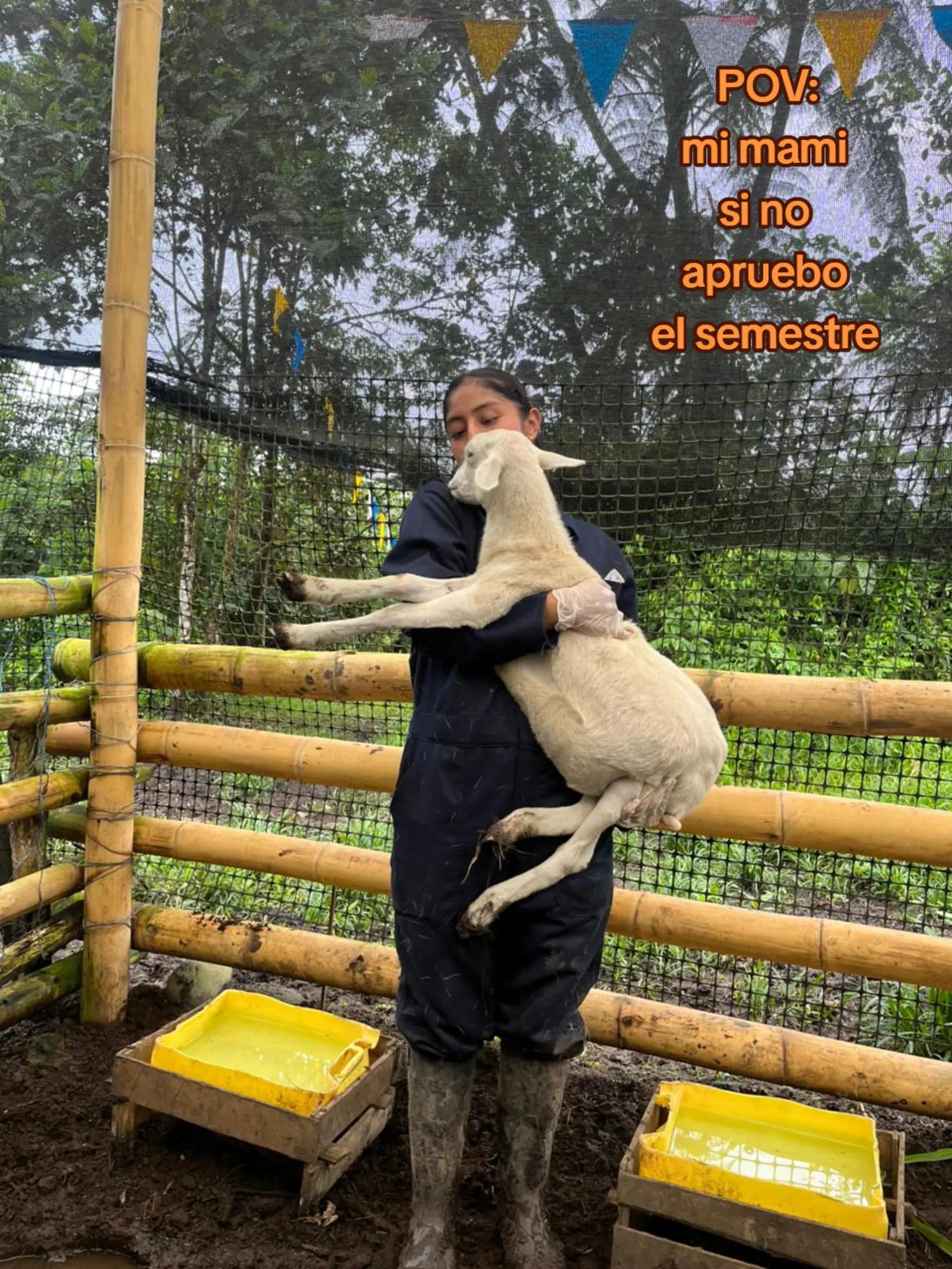 @A.