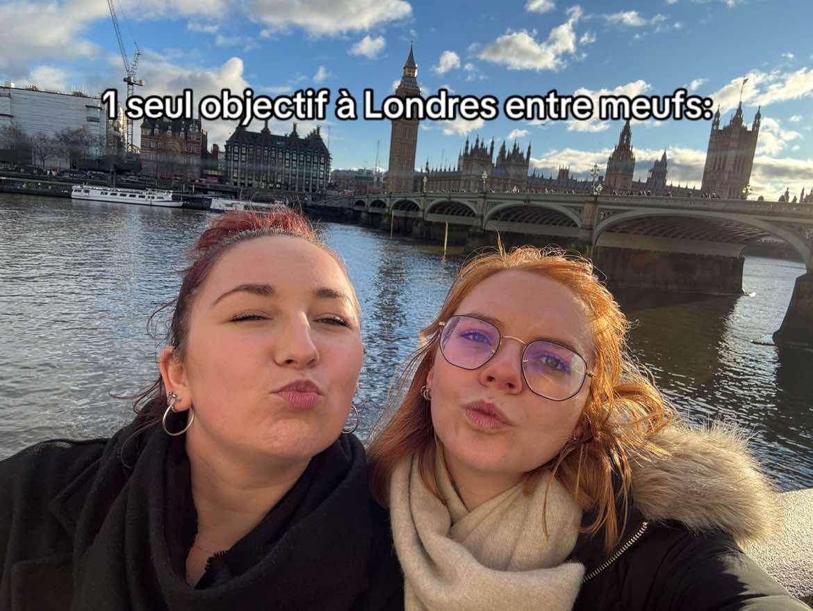 @chabrqt