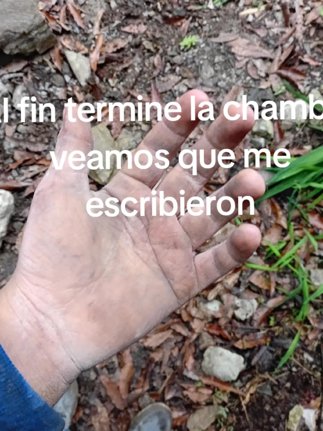 @PAPICHULO
