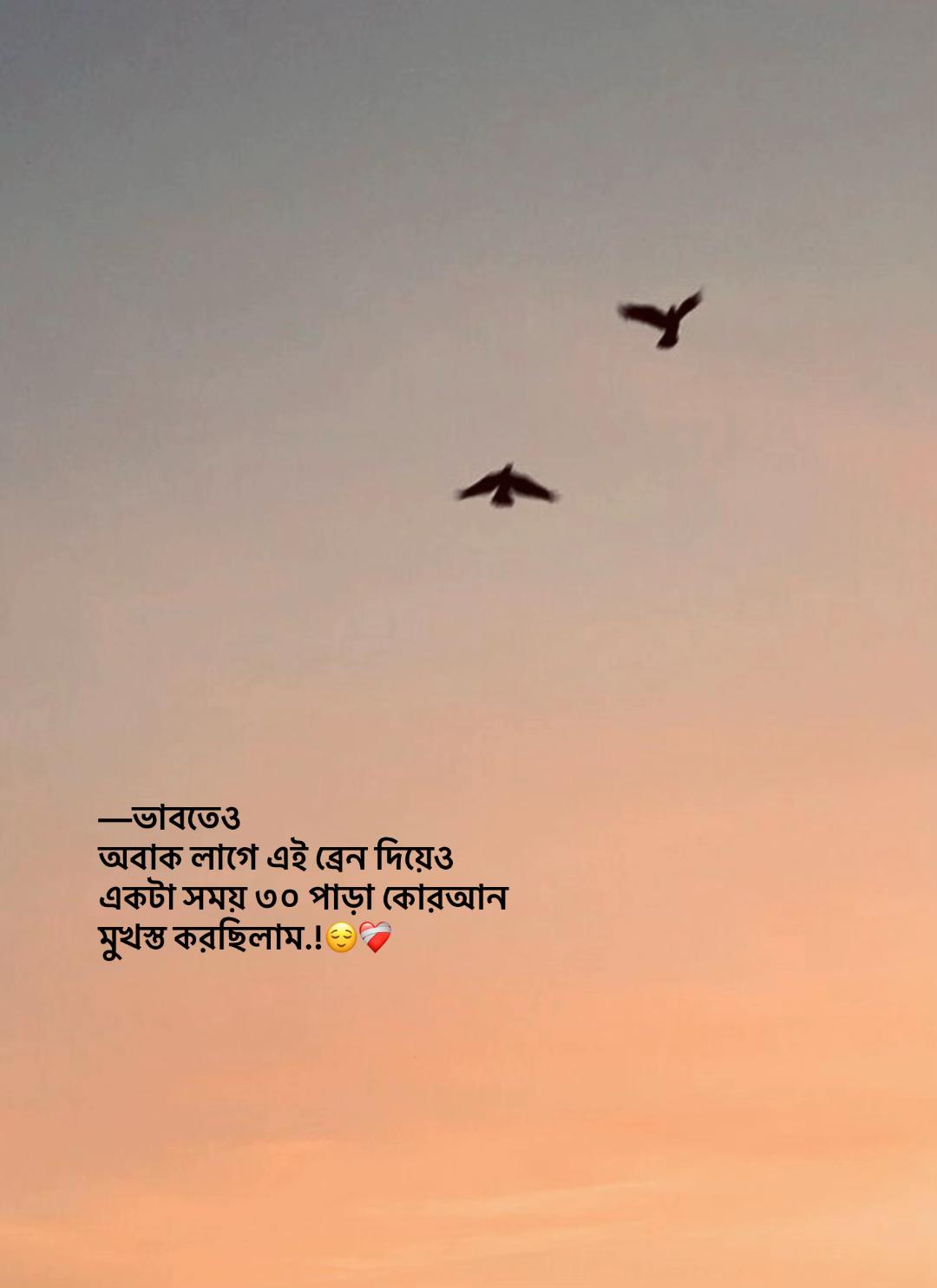 @⏳𝐒𝐡𝐚𝐝𝐨𝐰𝐗𝐞𝐧_ 🚩