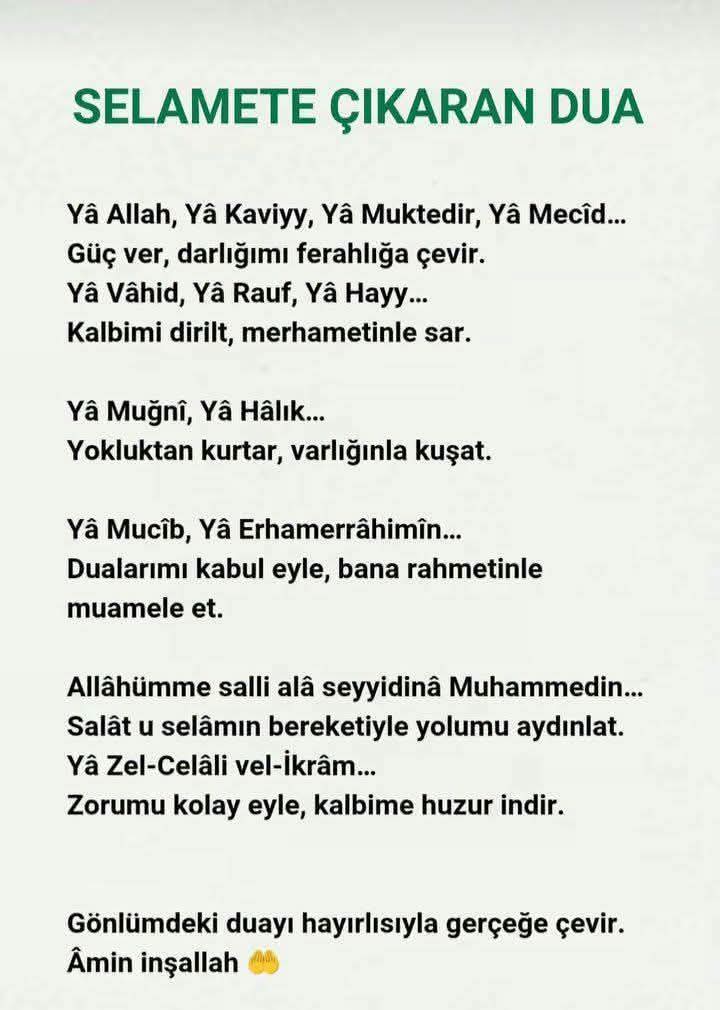 @Raziye Erim