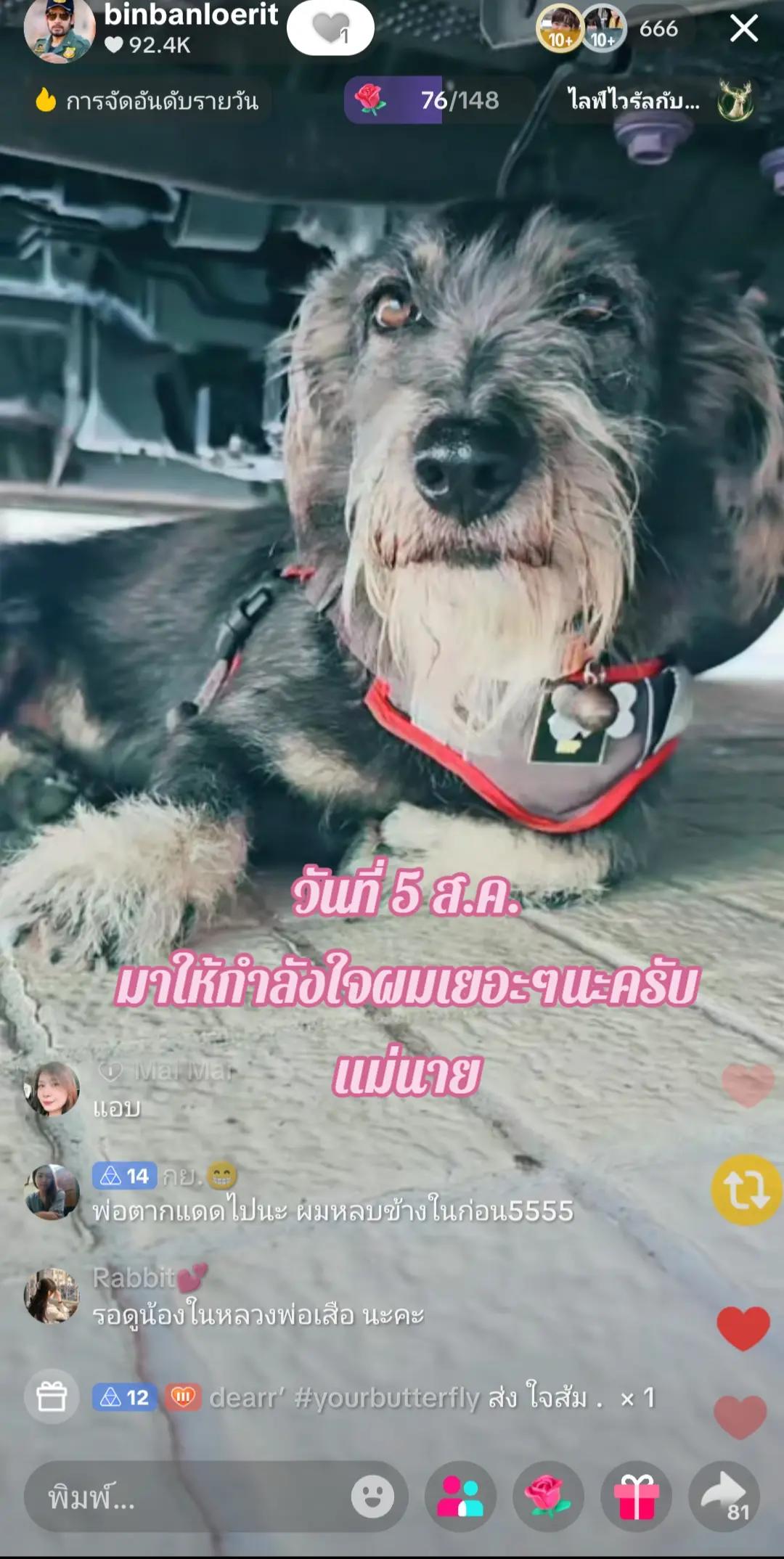 @Mai Mai