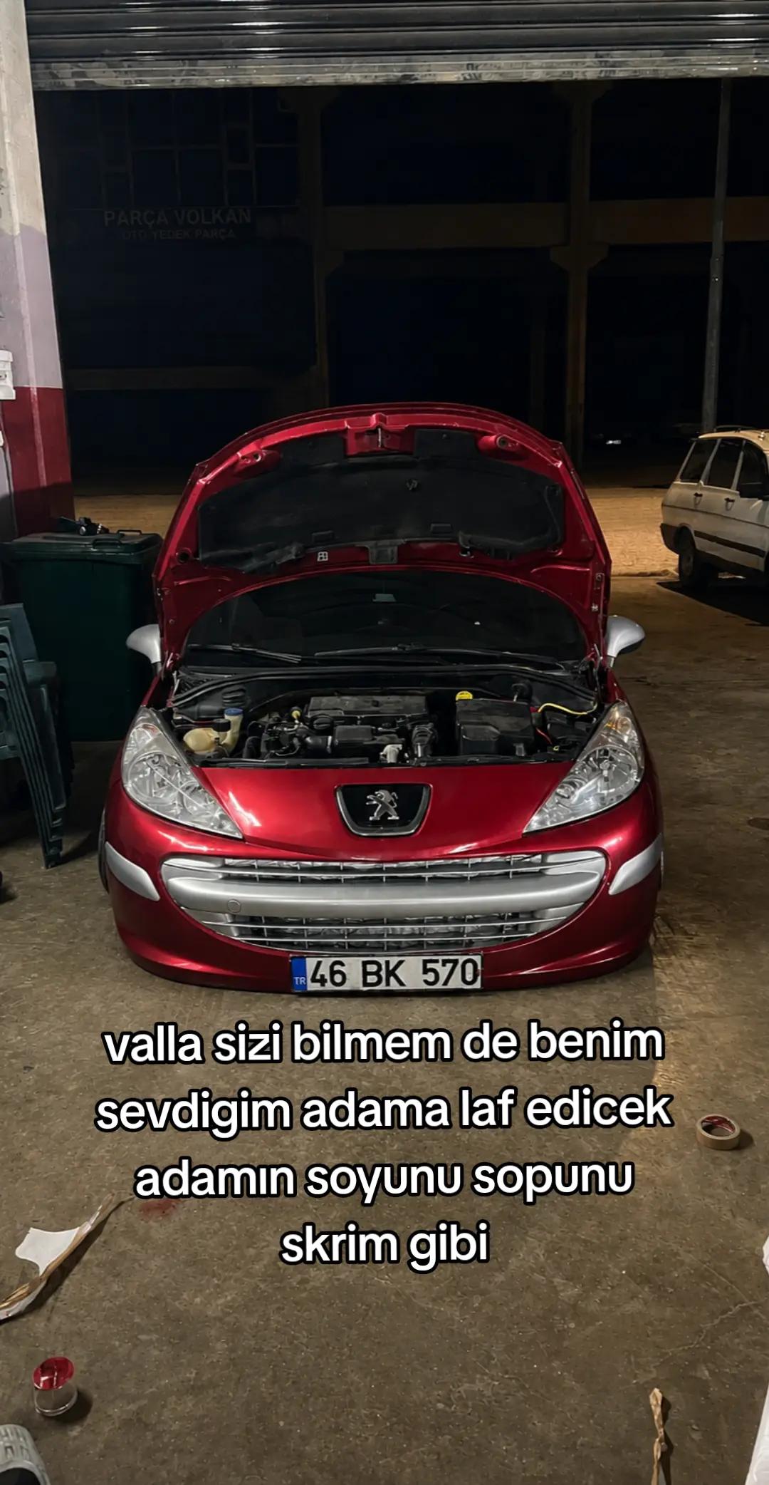 @🦭