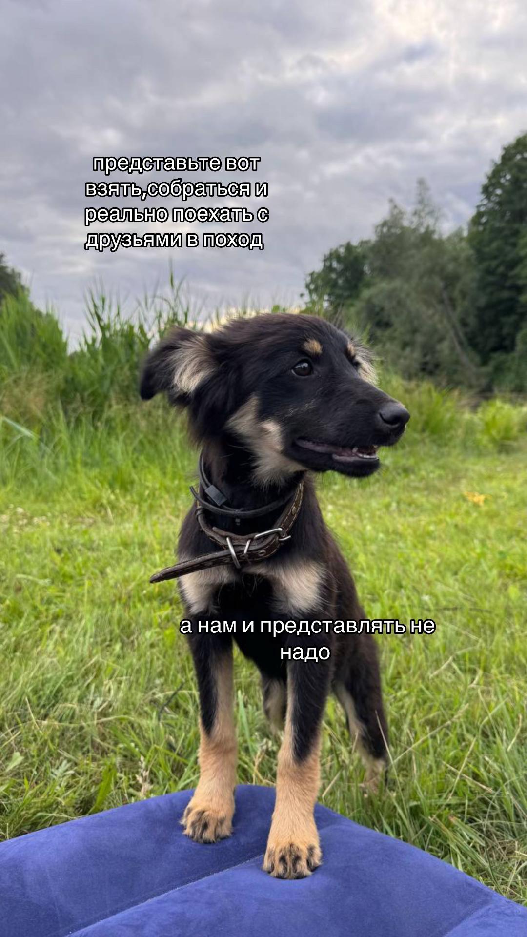 @марьяша🔆