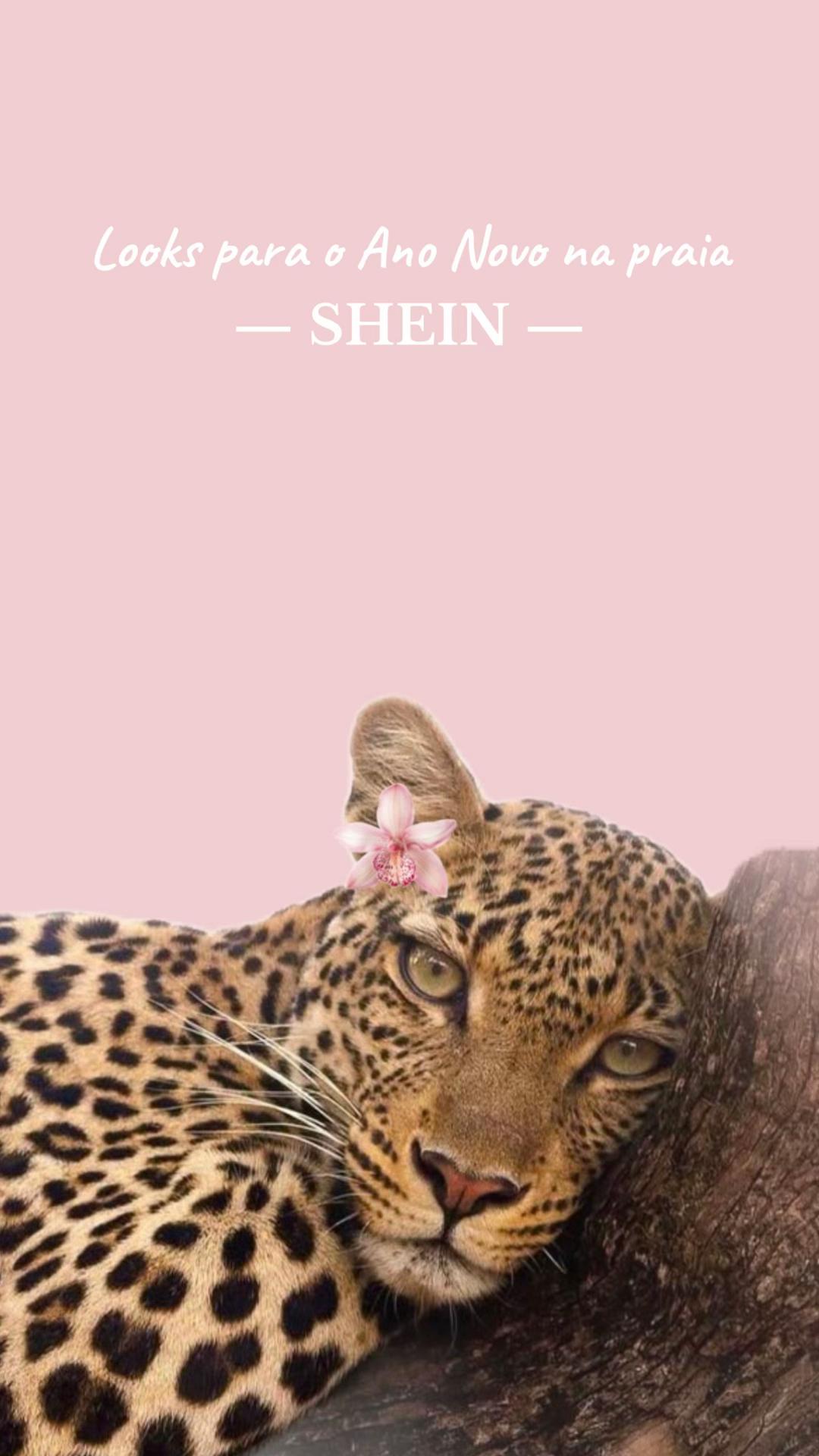 @Looks Girls ✨