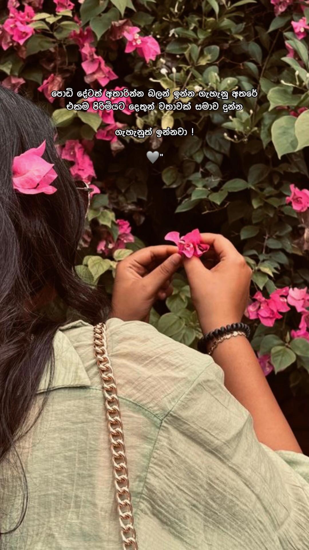 @< 𝐂𝐡𝐚𝐦𝐨 ᥫ᭡