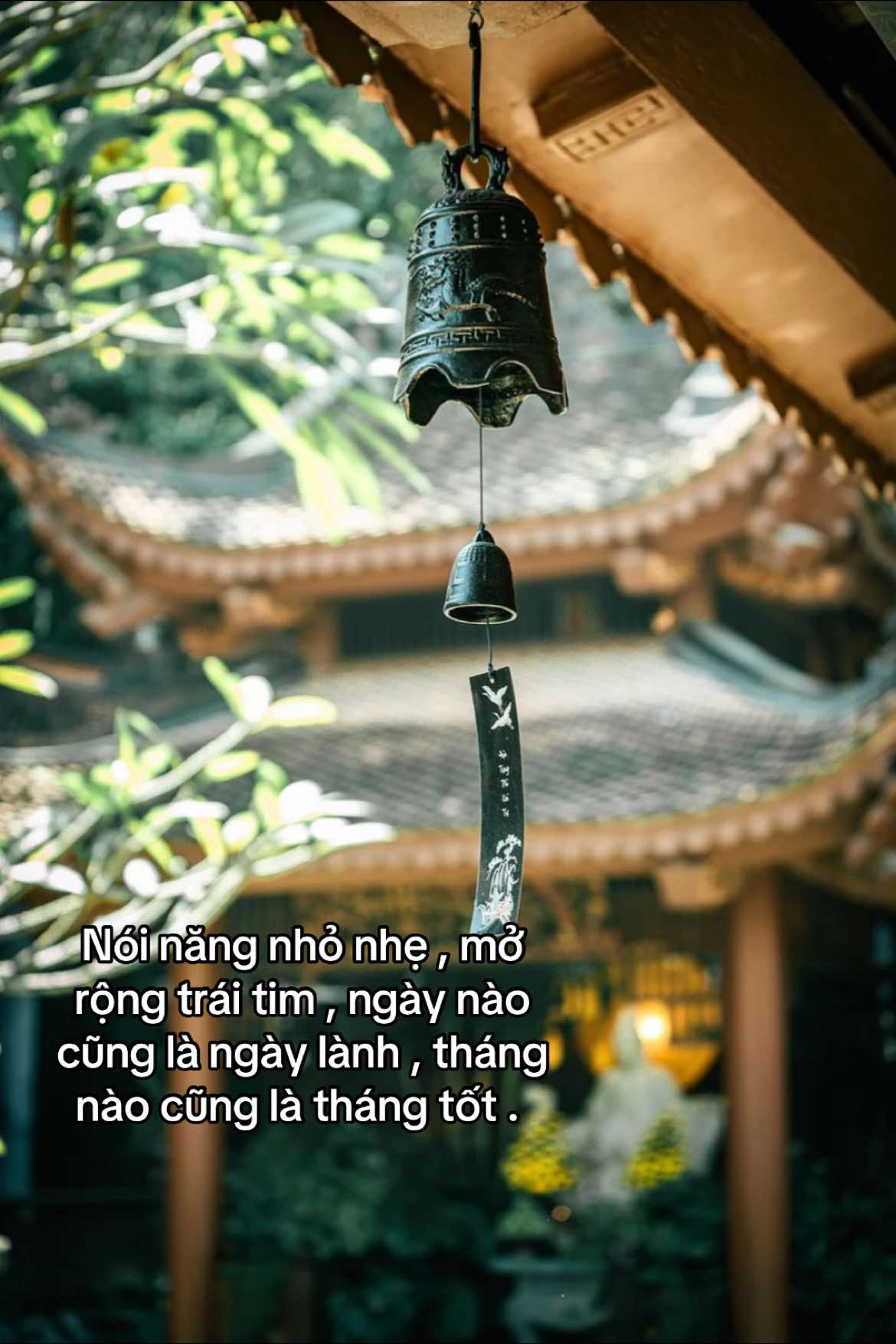 @Chi 🐼