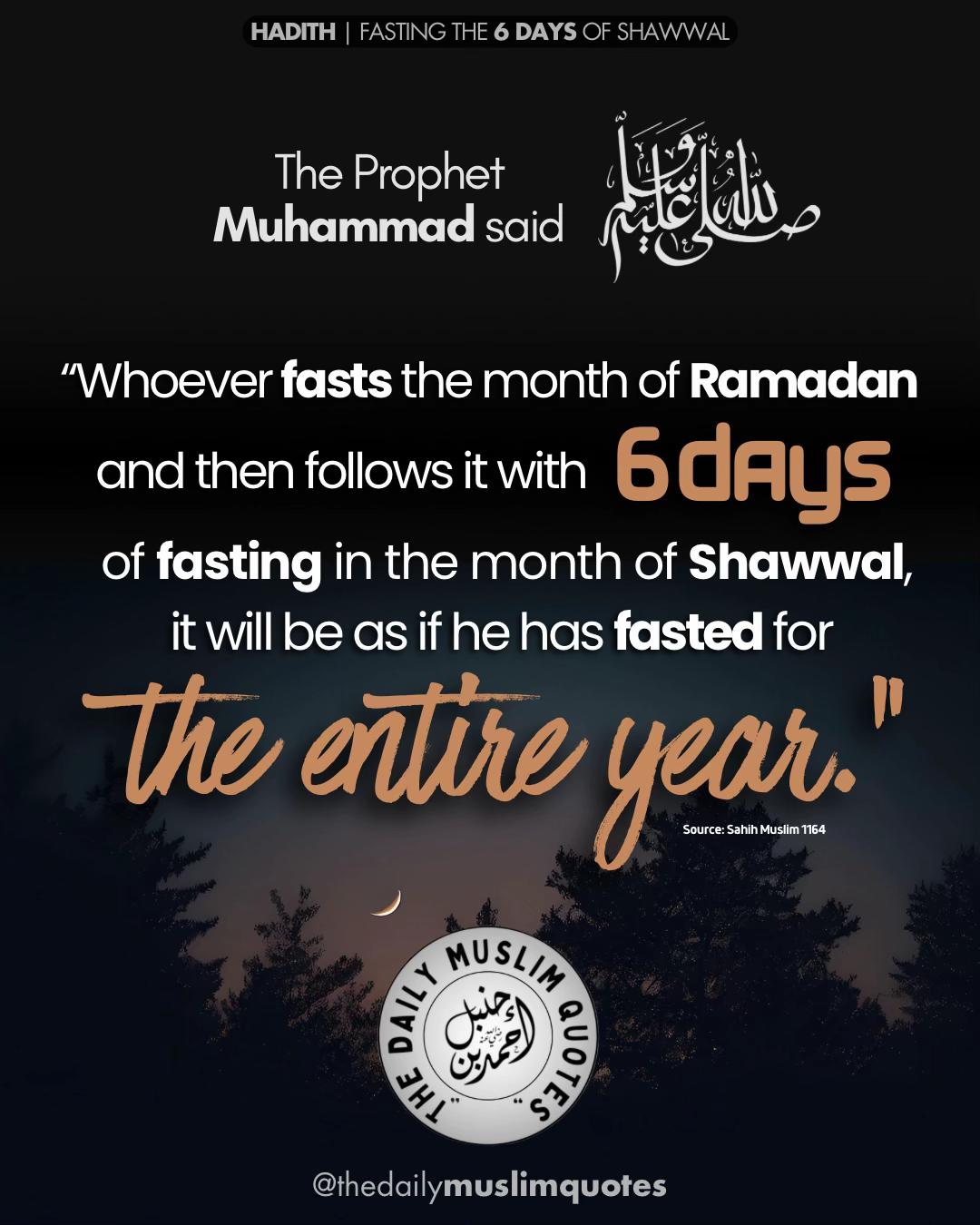 @thedailymuslimquotes