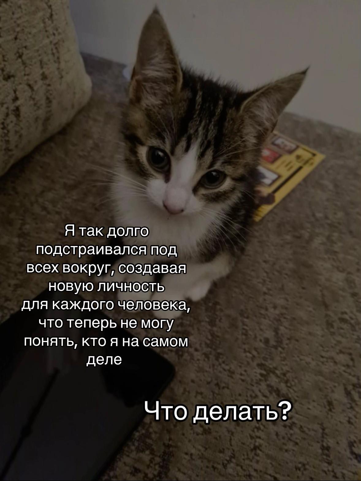 @тгк: психология с марго