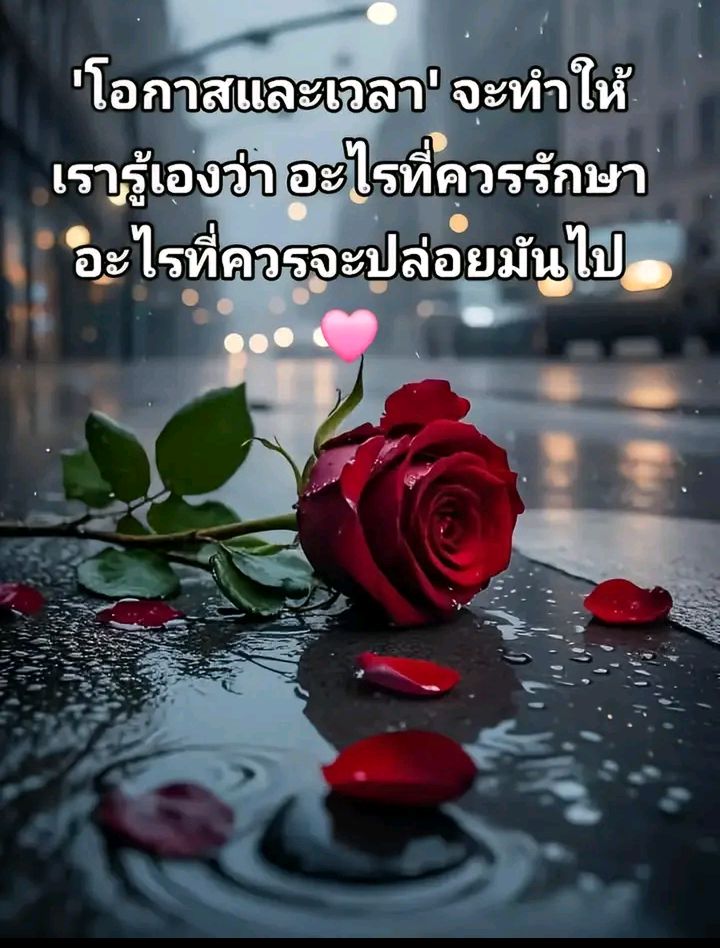@ฅนรัก ฅนรัก