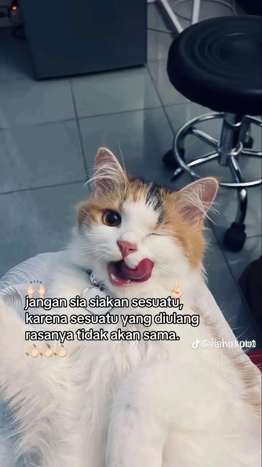 @F