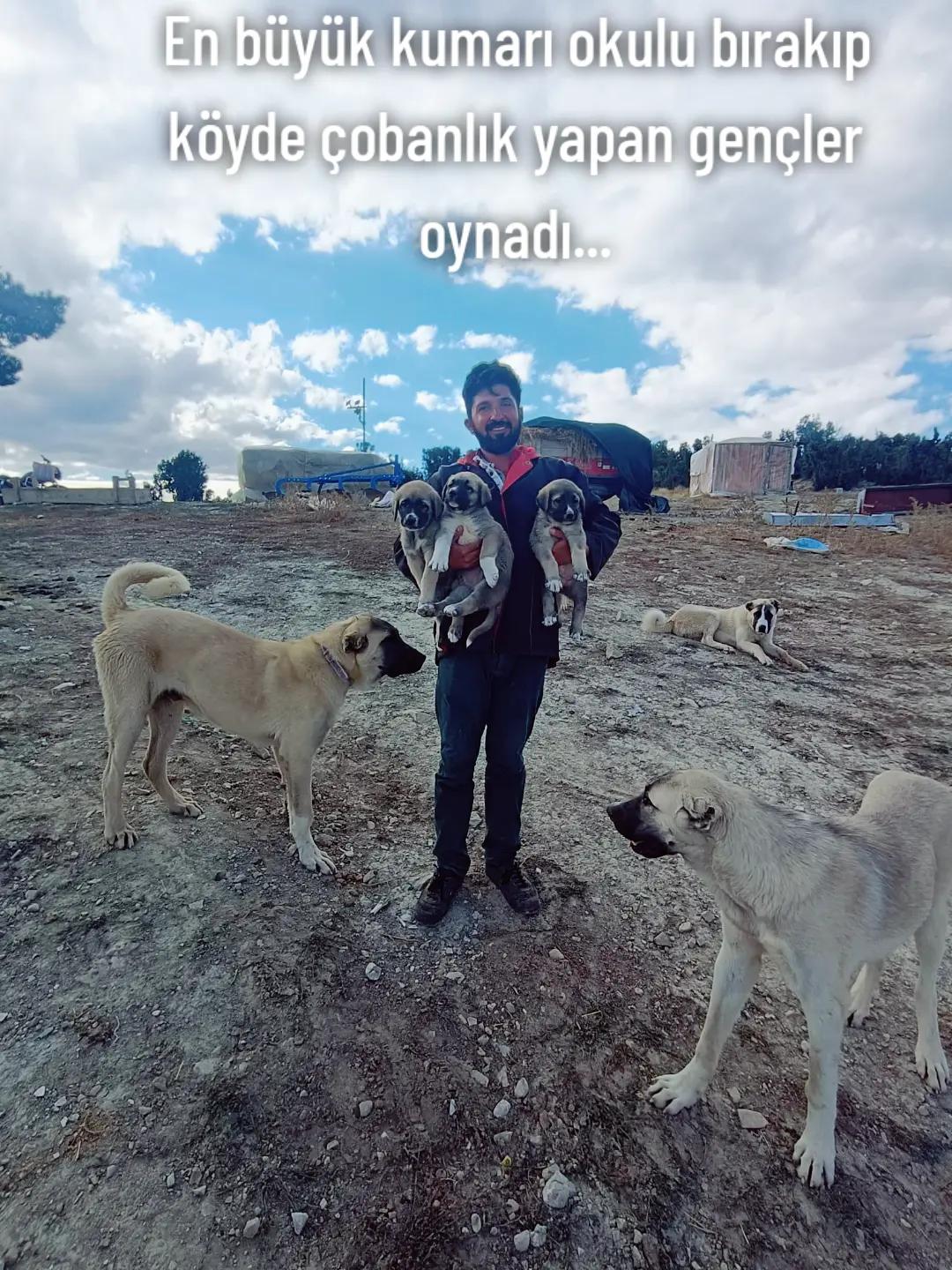 @Haşmet Çetin