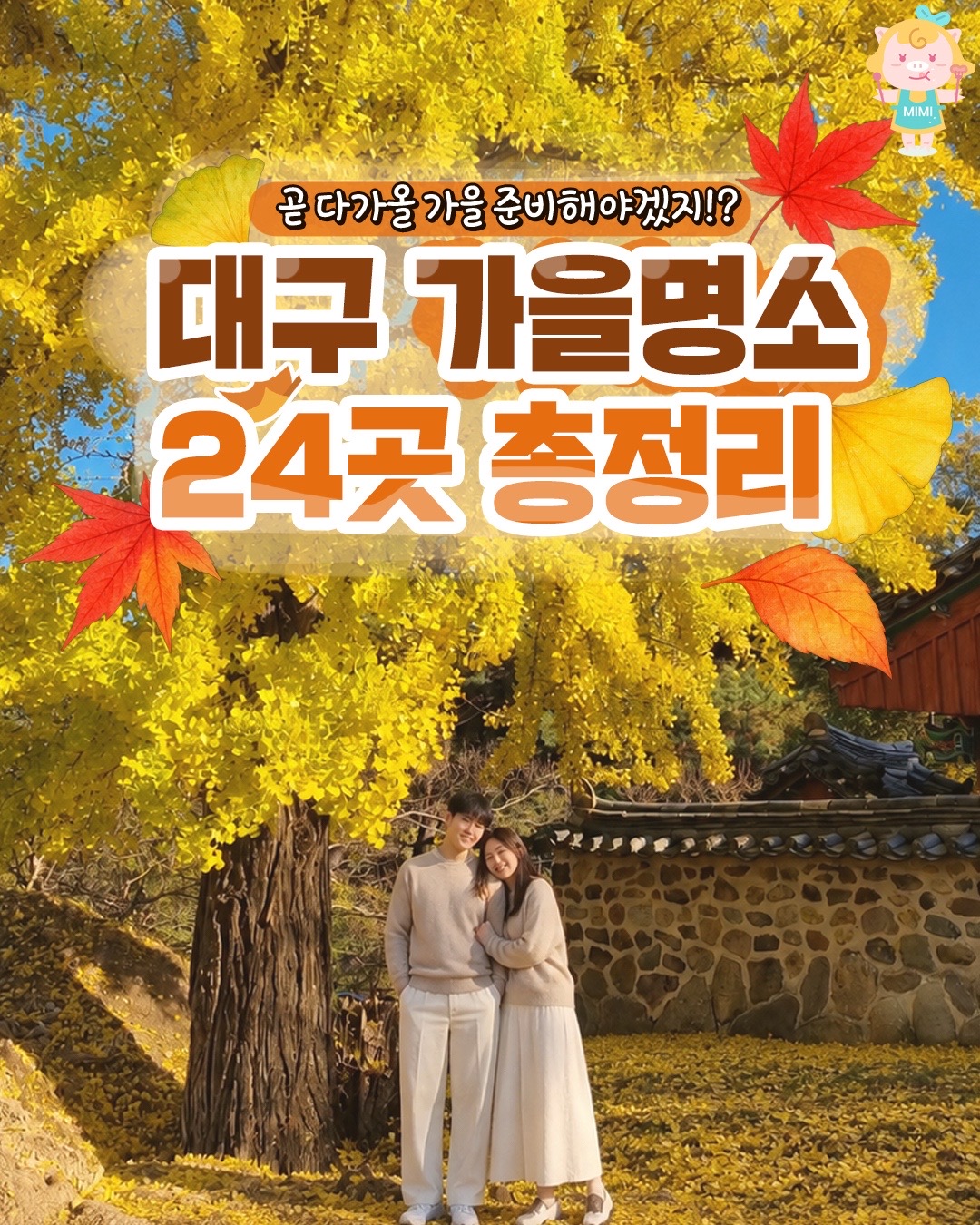 @대구핫플