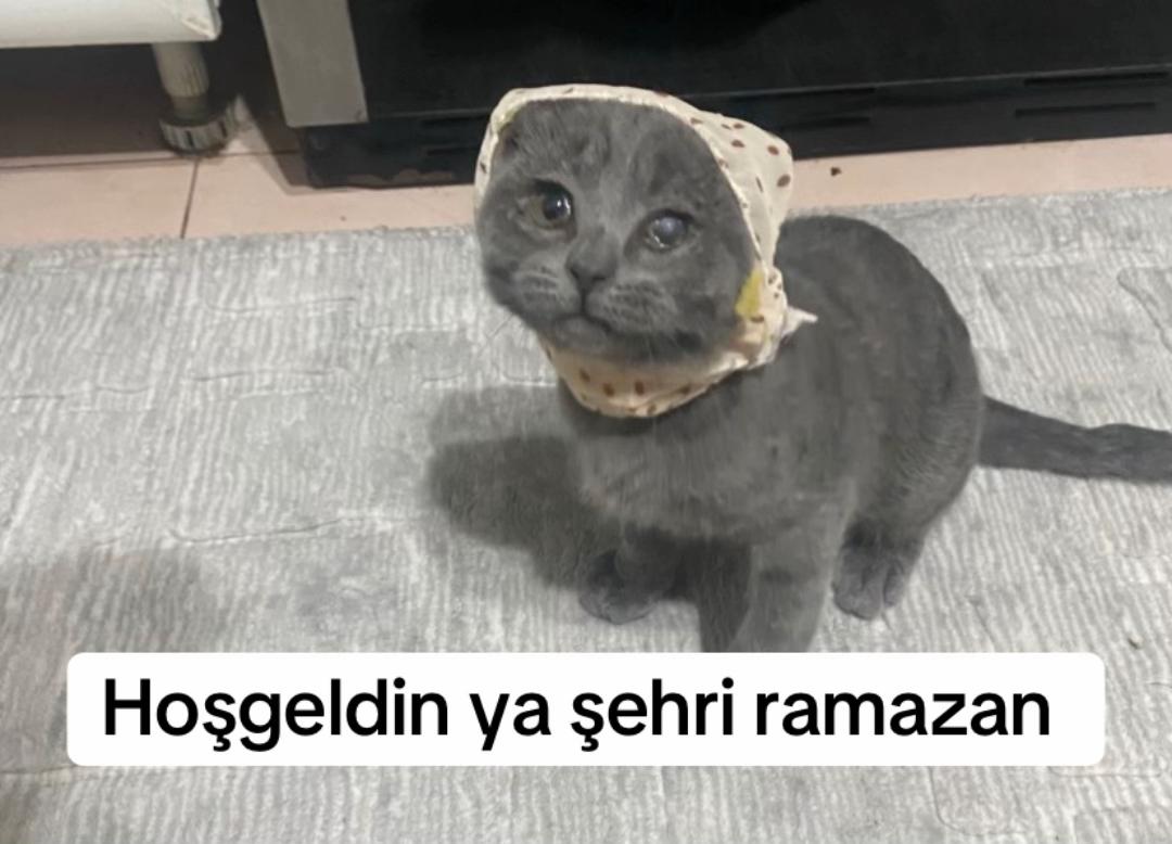 @Emine Inan Kahya