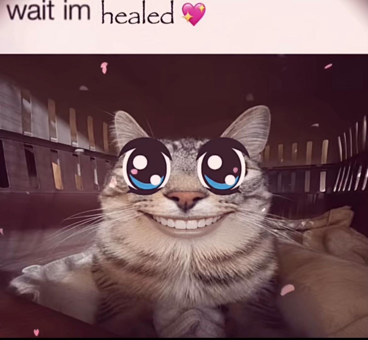 @kos1124