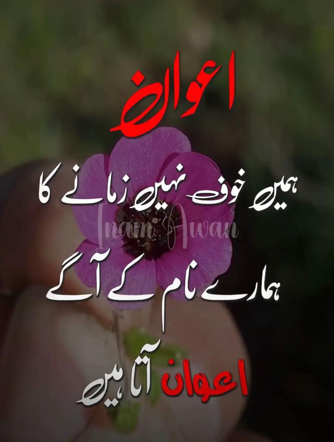 @Irfan Awan