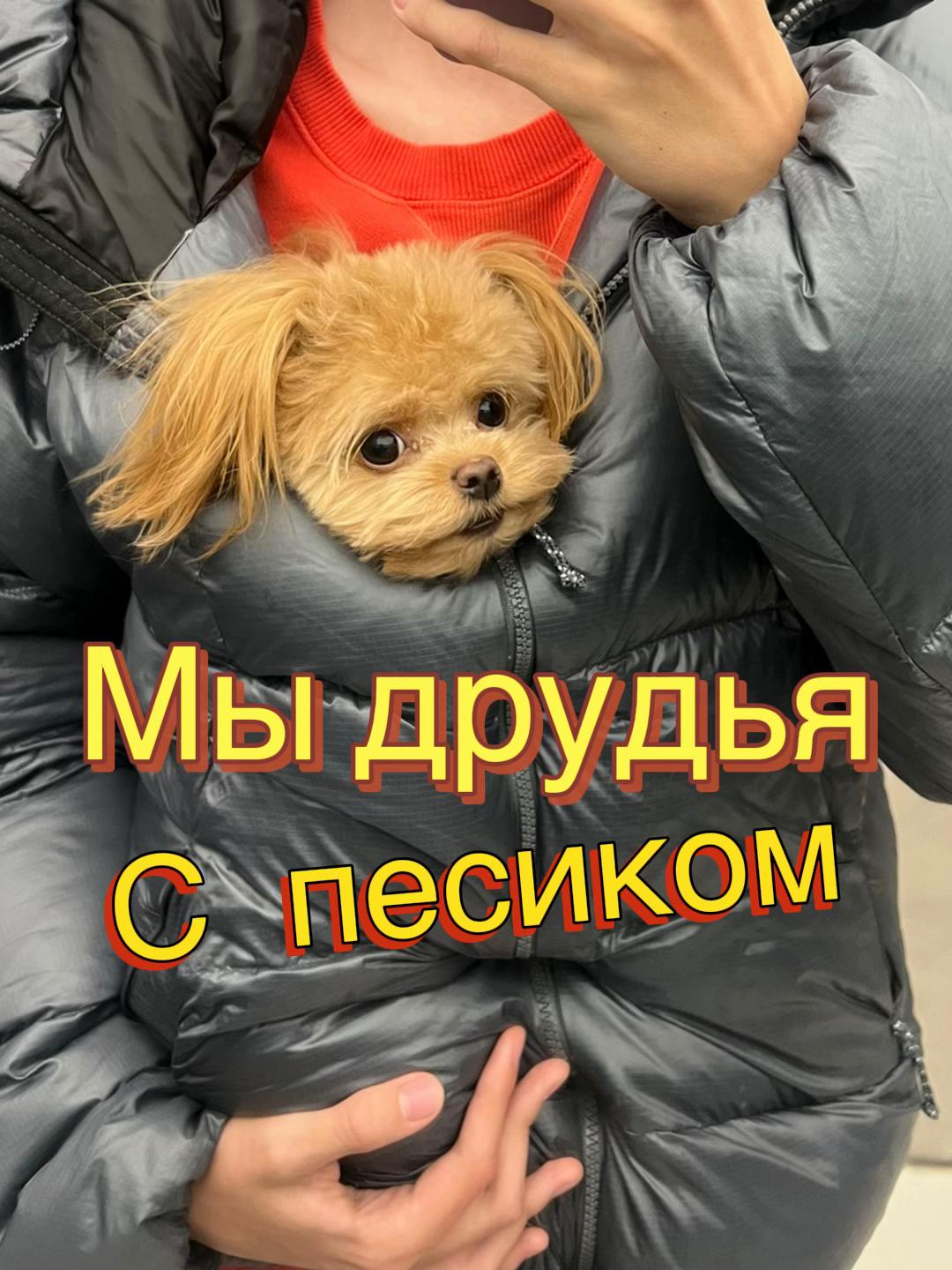 @Козлик Бафомет