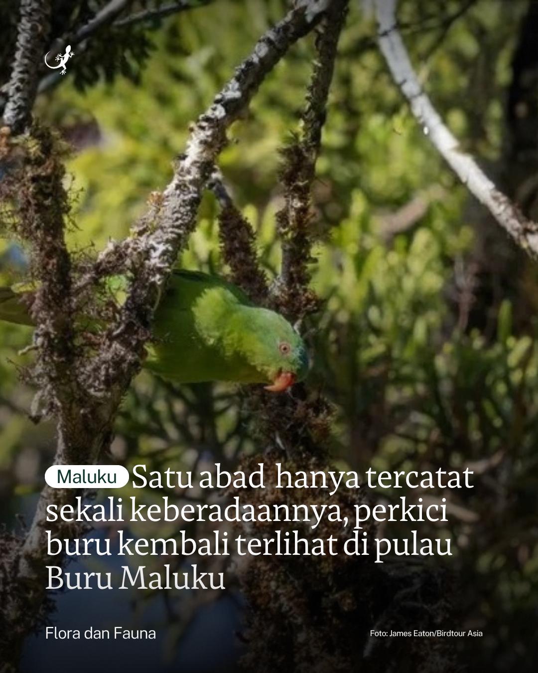 @mongabayindonesia
