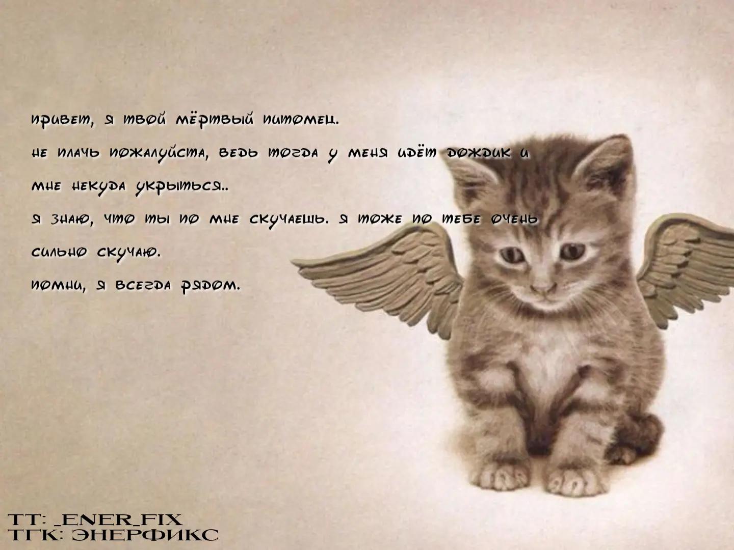 @тгк: ЭНЕРФИКС
